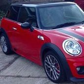 User avatar for Steve Gardner