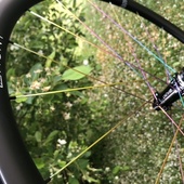 User avatar for Eric Pettett