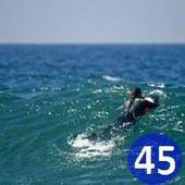 User avatar for Dayle Crichton