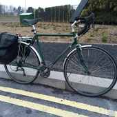 User avatar for Adamx Golding