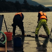 User avatar for Kerryn Sievewright