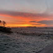 User avatar for Simon Bricker