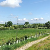 User avatar for Em M