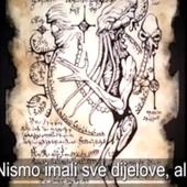 User avatar for Alexandra Horvat