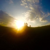 User avatar for Wayne Foster