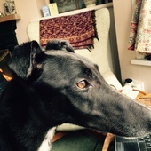 User avatar for Christopher Torrens