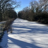 User avatar for Kev Snow